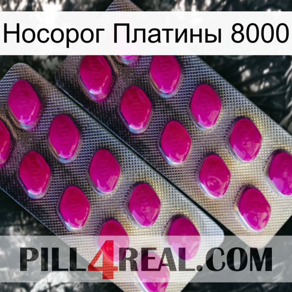 Носорог Платины 8000 10.jpg